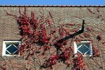 Zolderverdieping gevel Leimuidenstraat.
<br/>
Gert-Jan Lobbes, 2015